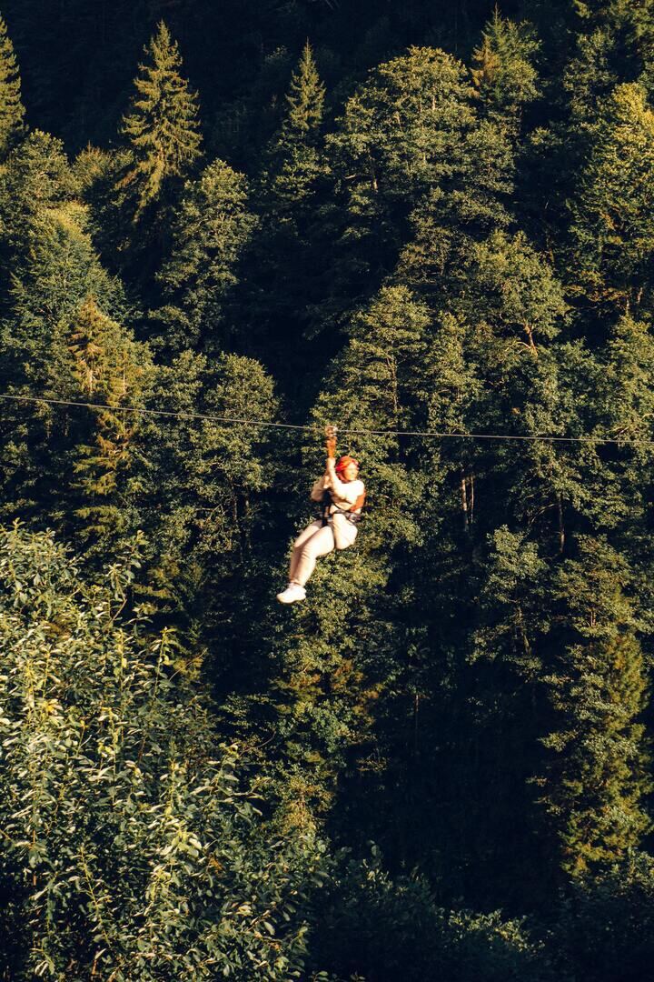 Tampa Bay Wilderness Canopy